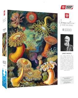 Puzzle Imagination Ernst Haeckel Stworzenia morskie 1000 elementów - PUZZLE / Good Loot