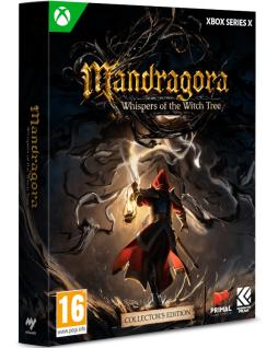Mandragora: Whispers of the Witch Tree Collector's Edition PL (XSX)